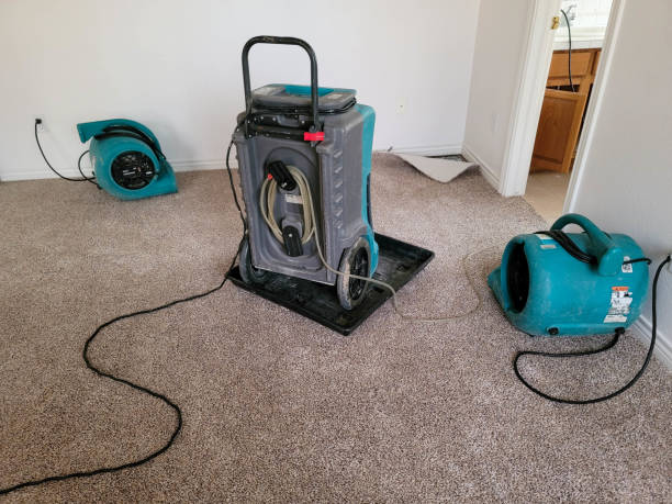 Best Sewage cleanup and water damage restoration  in Jefferson City, TN