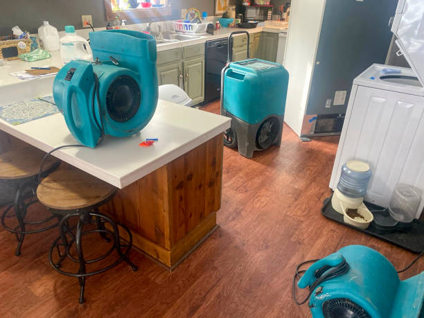 Best Emergency water damage restoration  in Jefferson City, TN