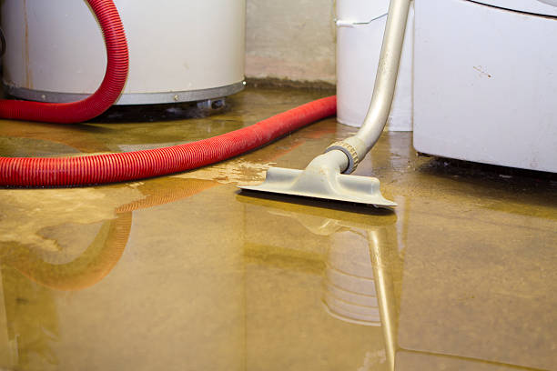 Best 24/7 water damage repair  in Jefferson City, TN