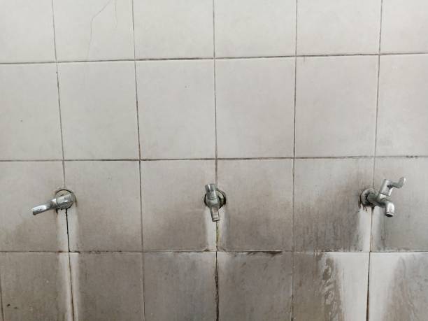 Best Ceiling water damage repair  in Jefferson City, TN