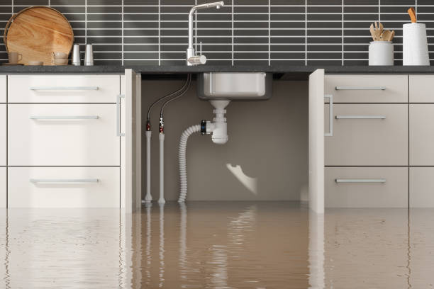 Best Carpet water damage restoration  in Jefferson City, TN