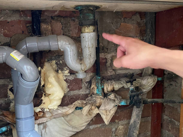 Best Professional water damage repair  in Jefferson City, TN