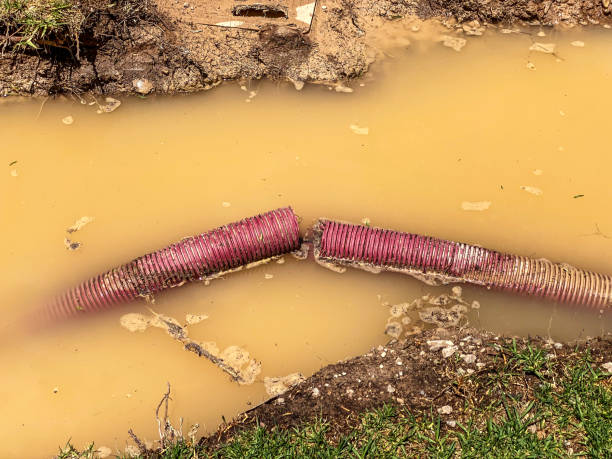 Best Flood restoration services  in Jefferson City, TN